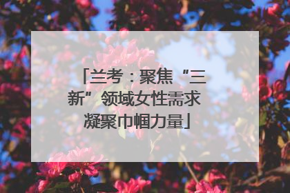 兰考：聚焦“三新”领域女性需求 凝聚巾帼力量