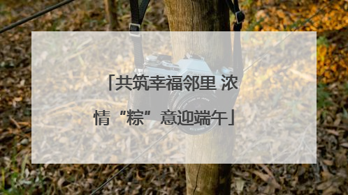 共筑幸福邻里 浓情“粽”意迎端午