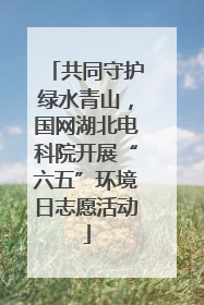 共同守护绿水青山，国网湖北电科院开展“六五”环境日志愿活动