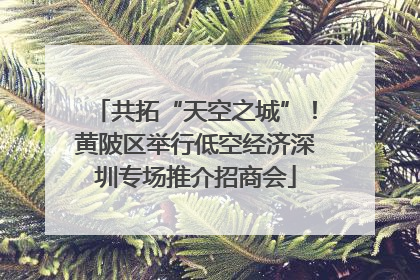 共拓“天空之城”！黄陂区举行低空经济深圳专场推介招商会