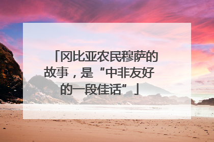 冈比亚农民穆萨的故事，是“中非友好的一段佳话”