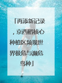再添新记录，京西稻核心种植区频现世界极危与濒危鸟种