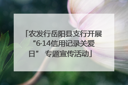 农发行岳阳县支行开展“6·14信用记录关爱日” 专题宣传活动