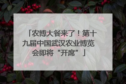 农博大餐来了！第十九届中国武汉农业博览会即将“开席”