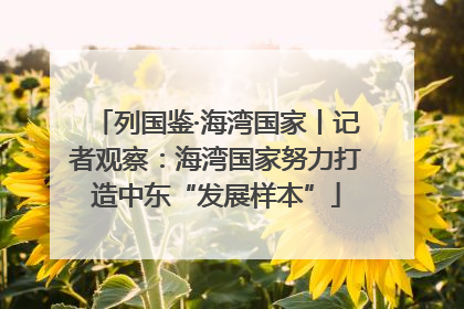 列国鉴·海湾国家丨记者观察：海湾国家努力打造中东“发展样本”