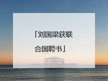 刘国梁获联合国聘书