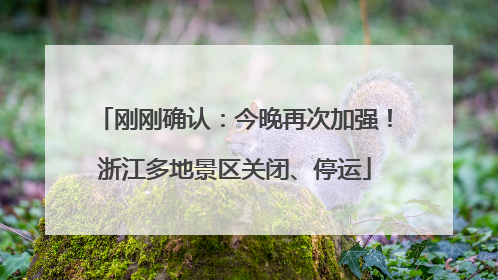 刚刚确认：今晚再次加强！浙江多地景区关闭、停运