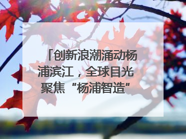 创新浪潮涌动杨浦滨江，全球目光聚焦“杨浦智造”｜相约复兴岛