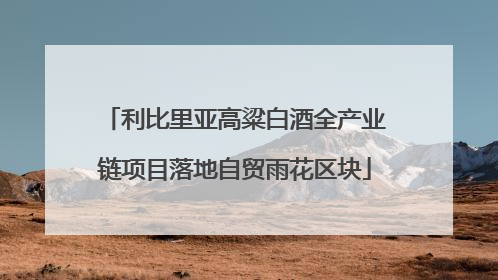 利比里亚高粱白酒全产业链项目落地自贸雨花区块