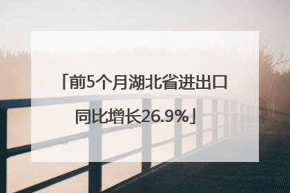 前5个月湖北省进出口同比增长26.9%