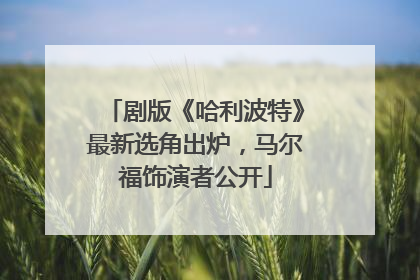 剧版《哈利波特》最新选角出炉，马尔福饰演者公开