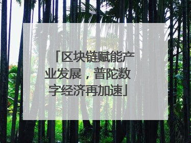 区块链赋能产业发展，普陀数字经济再加速