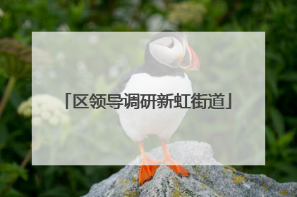 区领导调研新虹街道