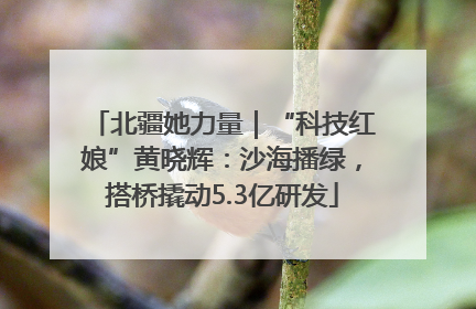北疆她力量｜“科技红娘”黄晓辉：沙海播绿，搭桥撬动5.3亿研发