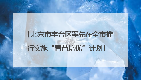 北京市丰台区率先在全市推行实施“青苗培优”计划