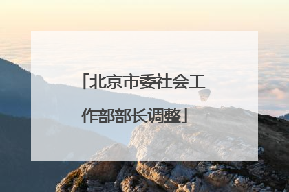 北京市委社会工作部部长调整