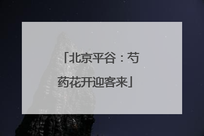 北京平谷：芍药花开迎客来