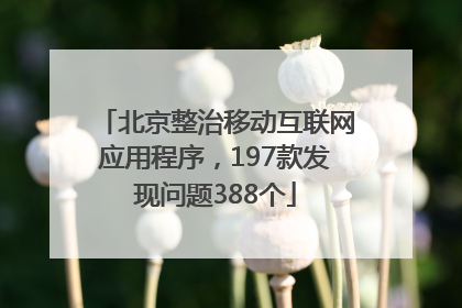 北京整治移动互联网应用程序，197款发现问题388个