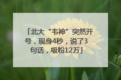 北大“韦神”突然开号，现身4秒，说了3句话，吸粉12万