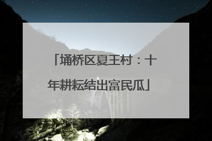 埇桥区夏王村：十年耕耘结出富民瓜