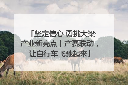 坚定信心 勇挑大梁·产业新亮点丨产赛联动，让自行车飞驰起来