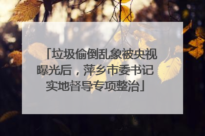 垃圾偷倒乱象被央视曝光后，萍乡市委书记实地督导专项整治