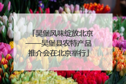吴堡风味绽放北京——吴堡县农特产品推介会在北京举行