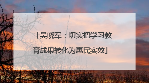 吴晓军：切实把学习教育成果转化为惠民实效