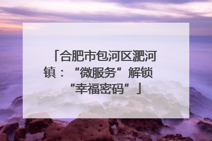 合肥市包河区淝河镇：“微服务”解锁“幸福密码”