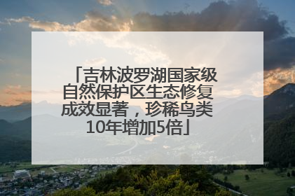 吉林波罗湖国家级自然保护区生态修复成效显著，珍稀鸟类10年增加5倍