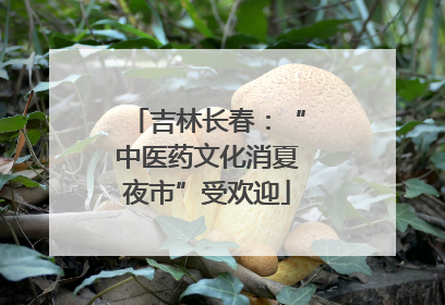吉林长春：“中医药文化消夏夜市”受欢迎