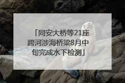 同安大桥等21座跨河涉海桥梁8月中旬完成水下检测