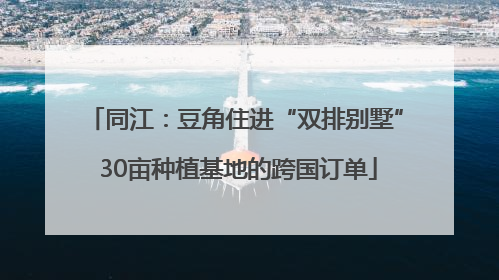 同江：豆角住进“双排别墅” 30亩种植基地的跨国订单