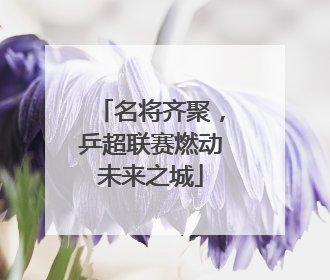 名将齐聚，乒超联赛燃动未来之城