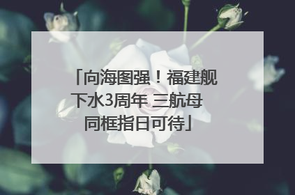 向海图强！福建舰下水3周年 三航母同框指日可待