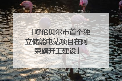 呼伦贝尔市首个独立储能电站项目在阿荣旗开工建设