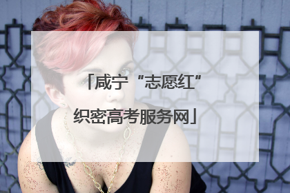 咸宁“志愿红”织密高考服务网