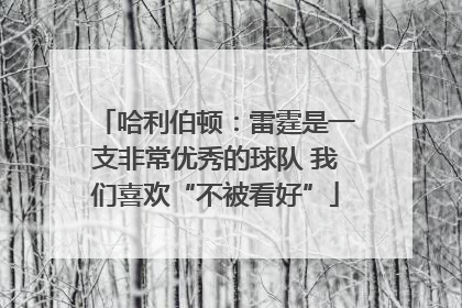 哈利伯顿：雷霆是一支非常优秀的球队 我们喜欢“不被看好”