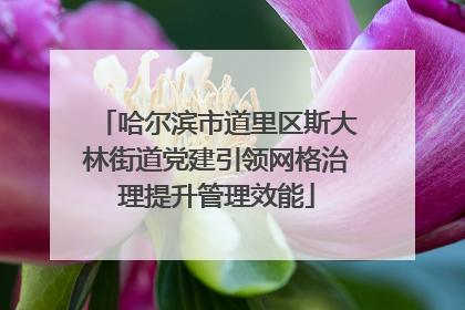 哈尔滨市道里区斯大林街道党建引领网格治理提升管理效能