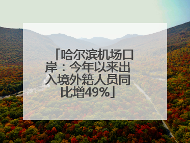 哈尔滨机场口岸：今年以来出入境外籍人员同比增49%