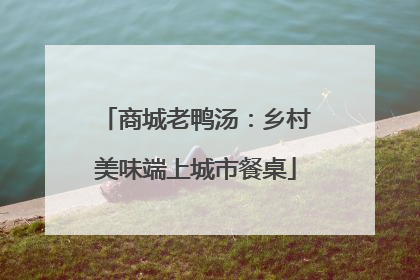 商城老鸭汤：乡村美味端上城市餐桌