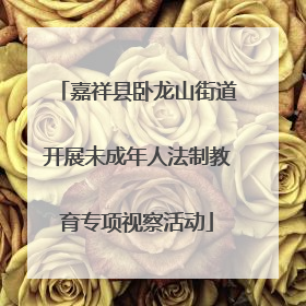 嘉祥县卧龙山街道开展未成年人法制教育专项视察活动