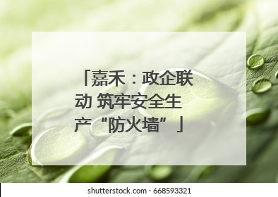 嘉禾：政企联动 筑牢安全生产“防火墙”