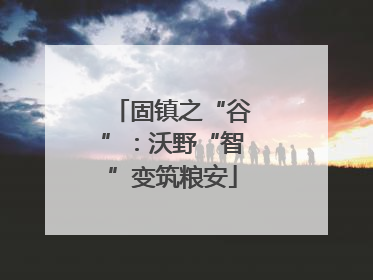固镇之“谷”：沃野“智”变筑粮安