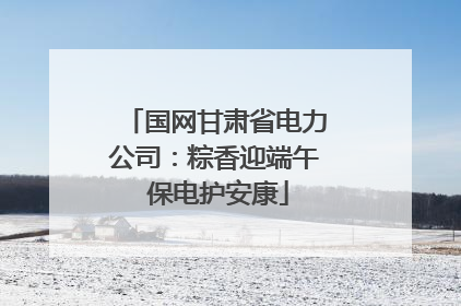 国网甘肃省电力公司：粽香迎端午 保电护安康