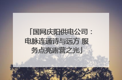 国网庆阳供电公司：电脉连通诗与远方 服务点亮露营之光