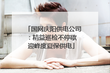 国网庆阳供电公司：精益巡检不停歇 迎峰度夏保供电