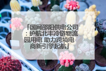 国网邵阳供电公司：护航北丰冷链物流园用电 助力跨境电商新引擎起航