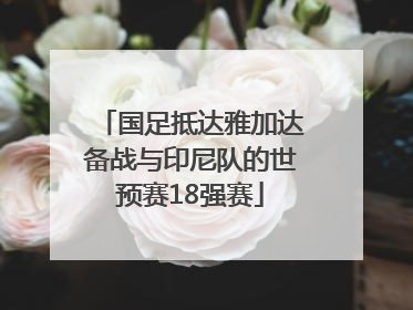 国足抵达雅加达备战与印尼队的世预赛18强赛