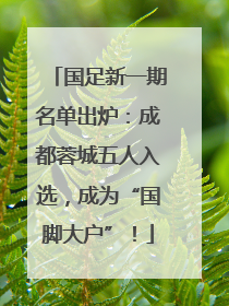 国足新一期名单出炉：成都蓉城五人入选，成为“国脚大户”！